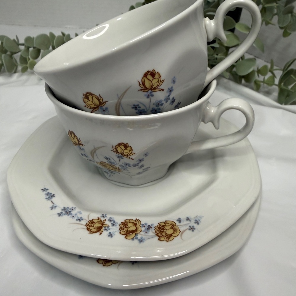 ☕ Tognana Made in Italy Floral  Set Of 2 Cups And Saucer Plates